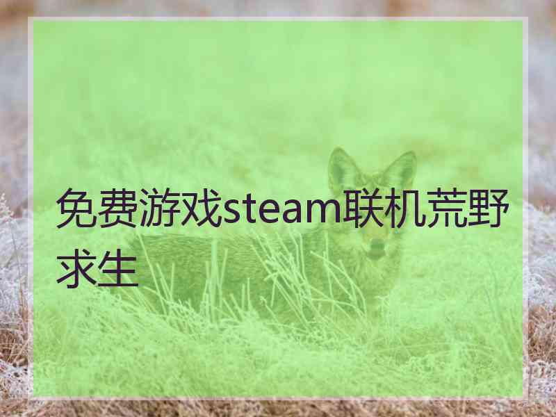 免费游戏steam联机荒野求生