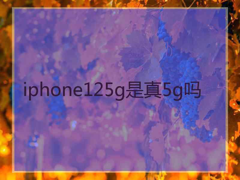 iphone125g是真5g吗