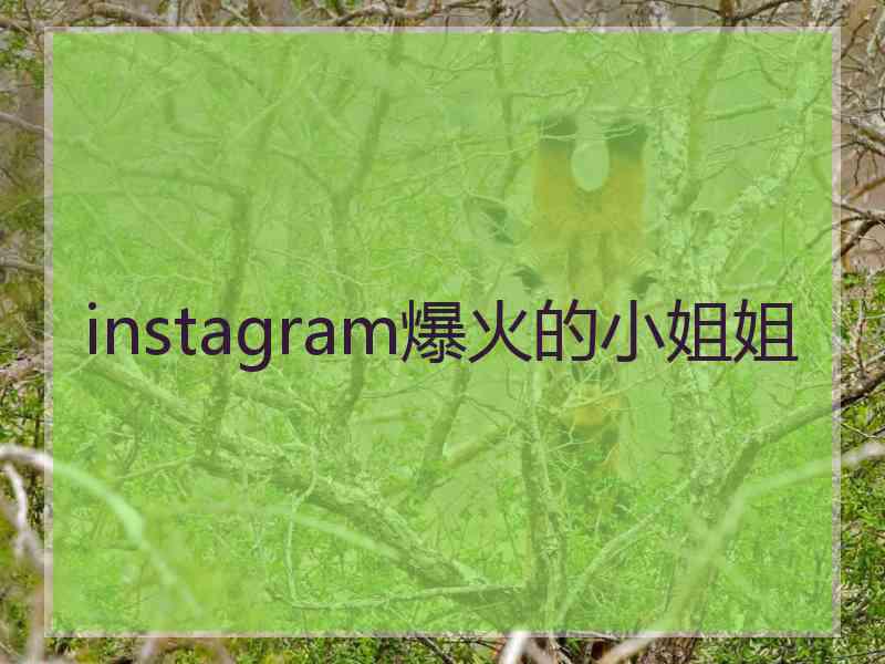 instagram爆火的小姐姐