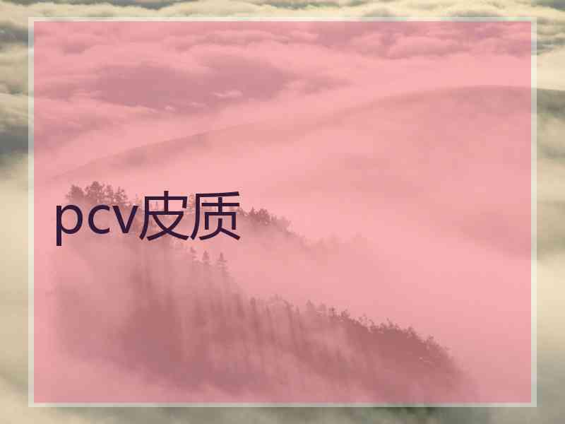 pcv皮质