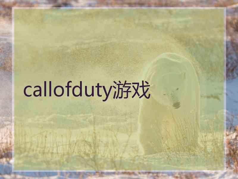 callofduty游戏