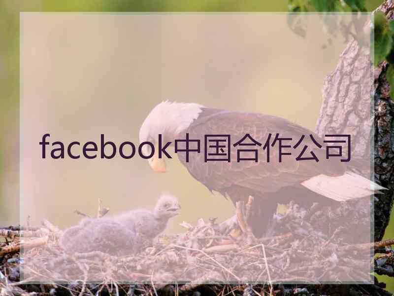 facebook中国合作公司