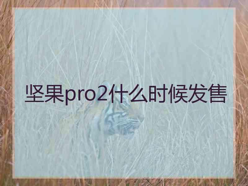 坚果pro2什么时候发售