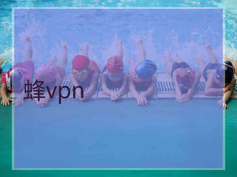 蜂vpn