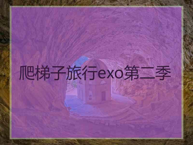 爬梯子旅行exo第二季