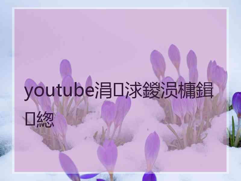 youtube涓浗鍐涢槦鍓緫