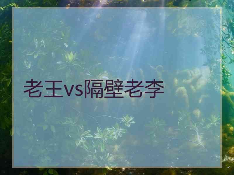 老王vs隔壁老李