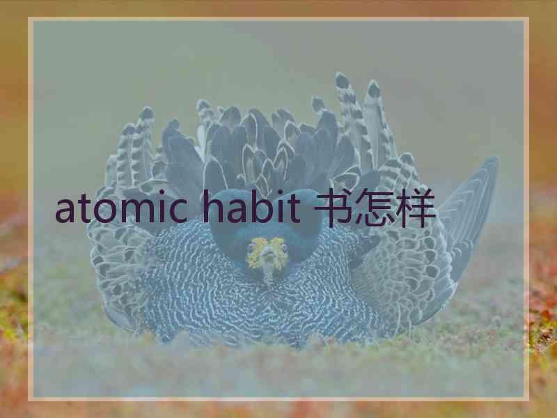 atomic habit 书怎样