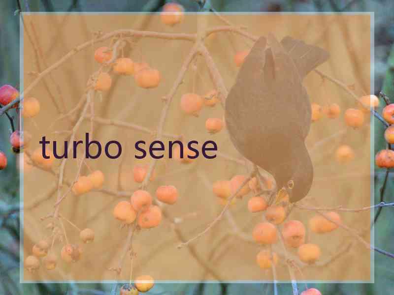 turbo sense