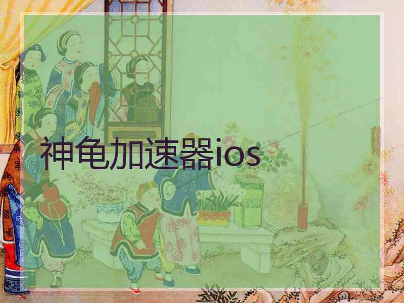 神龟加速器ios