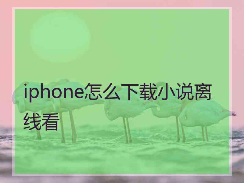 iphone怎么下载小说离线看