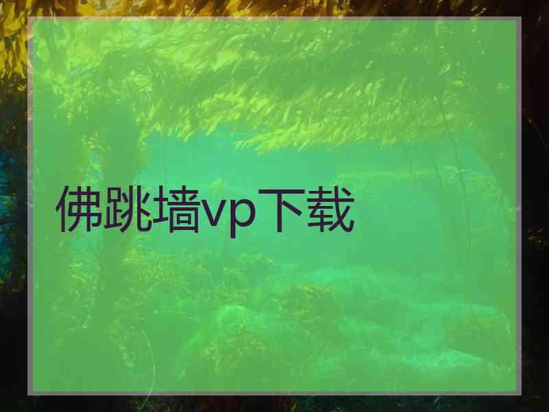 佛跳墙vp下载