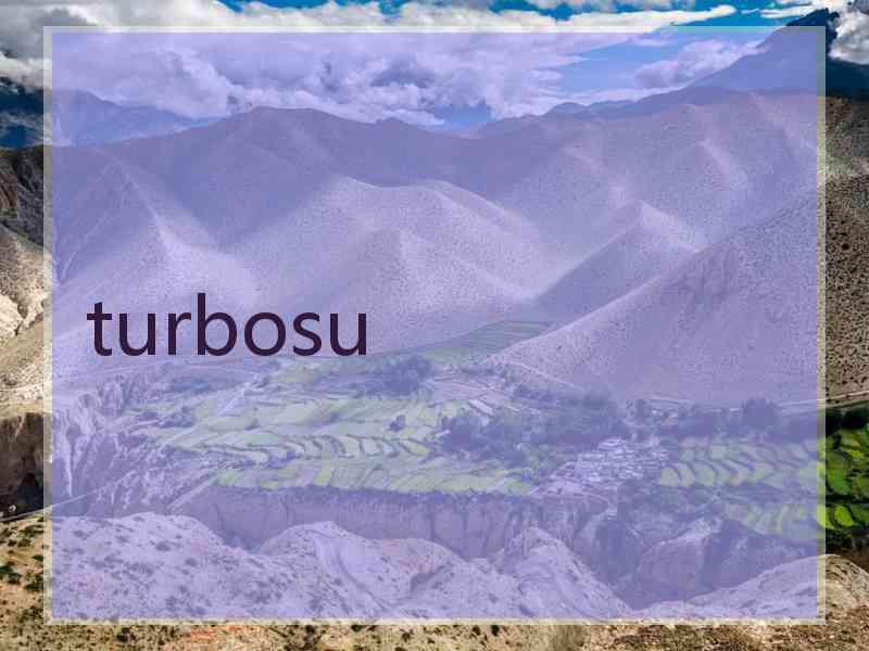 turbosu