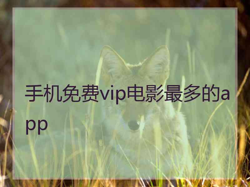 手机免费vip电影最多的app