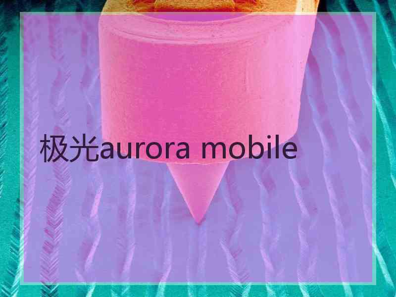 极光aurora mobile