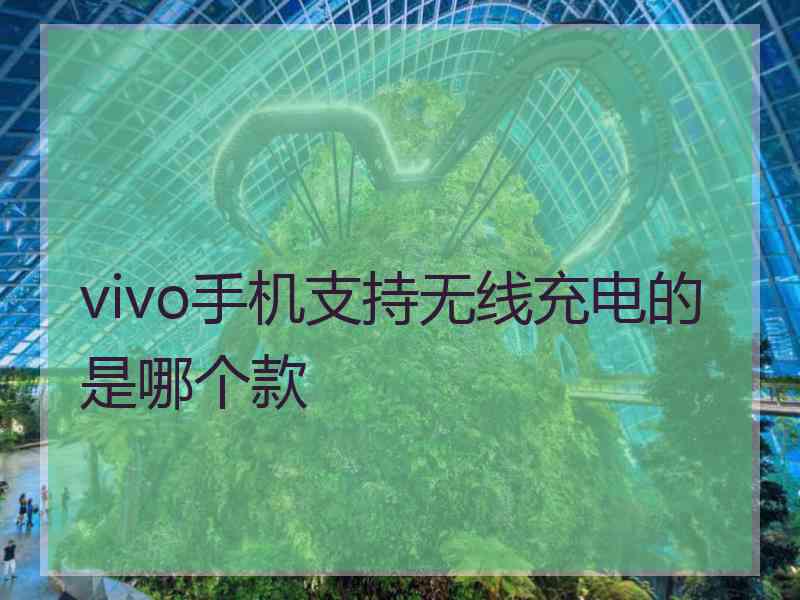 vivo手机支持无线充电的是哪个款