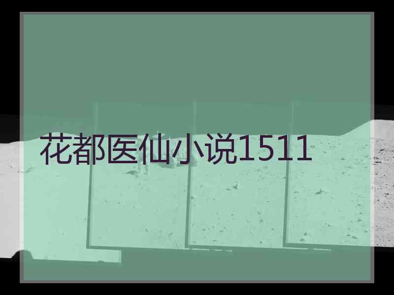 花都医仙小说1511