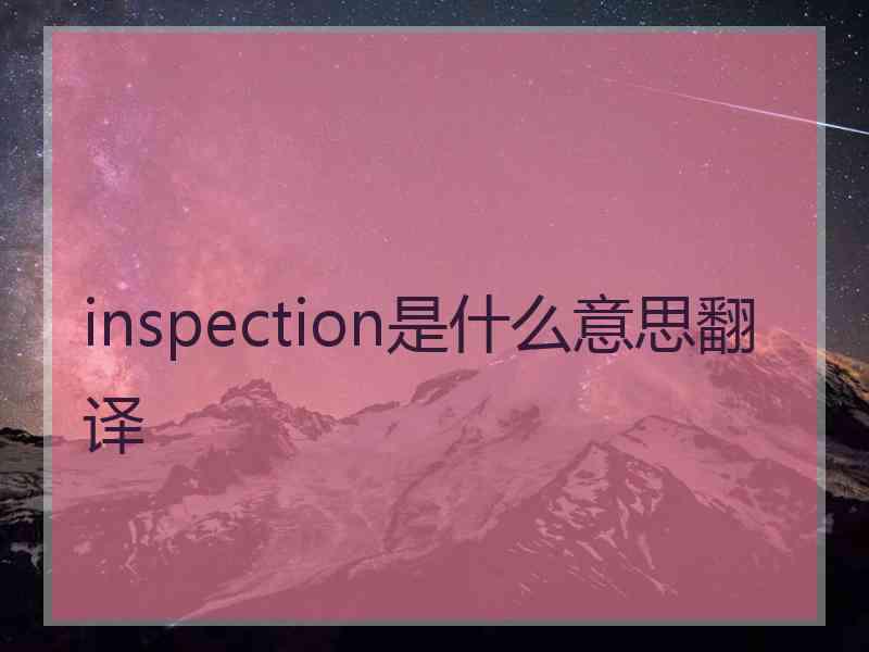 inspection是什么意思翻译