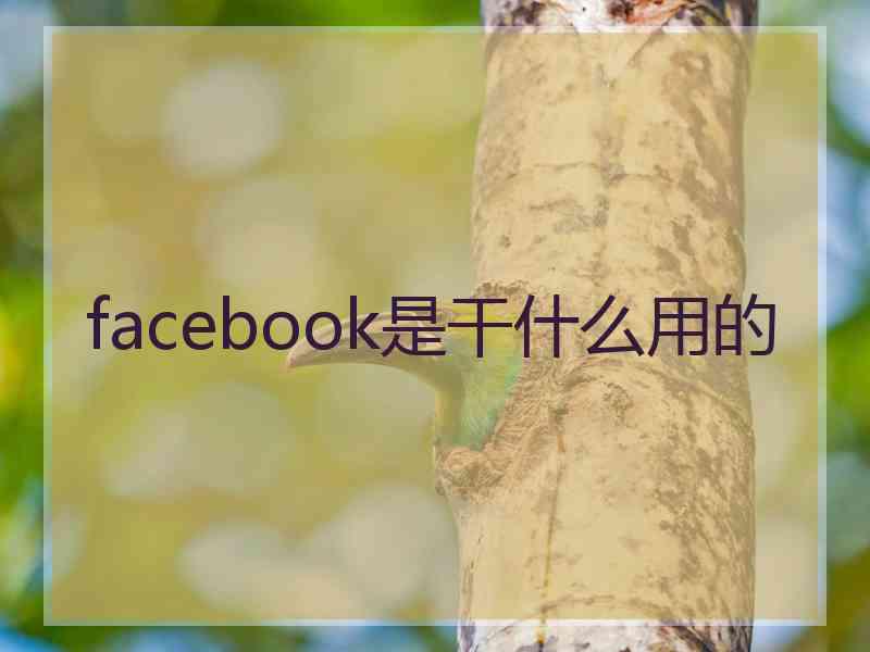 facebook是干什么用的