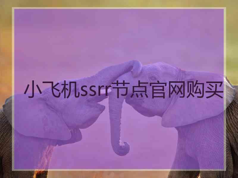 小飞机ssrr节点官网购买