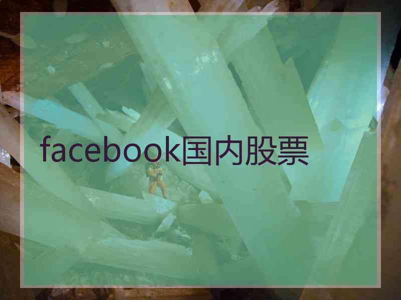 facebook国内股票