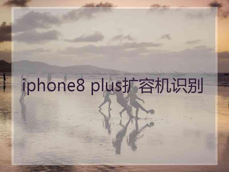 iphone8 plus扩容机识别