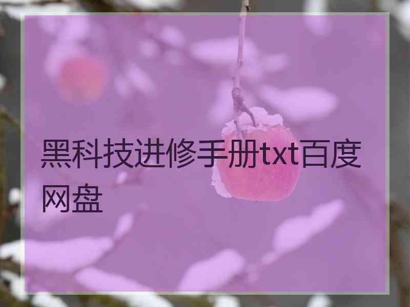 黑科技进修手册txt百度网盘