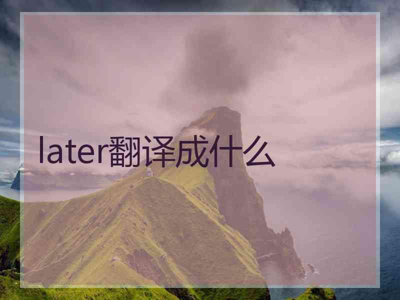 later翻译成什么