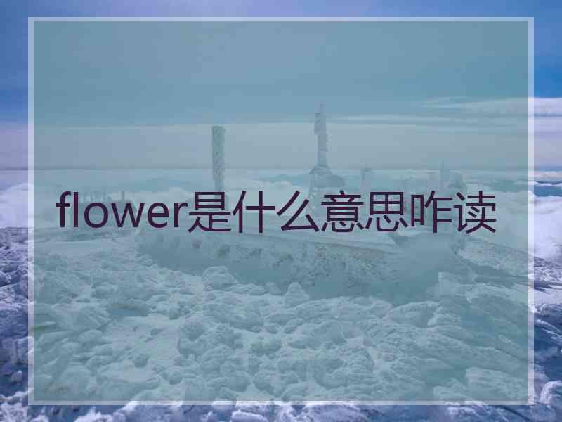 flower是什么意思咋读