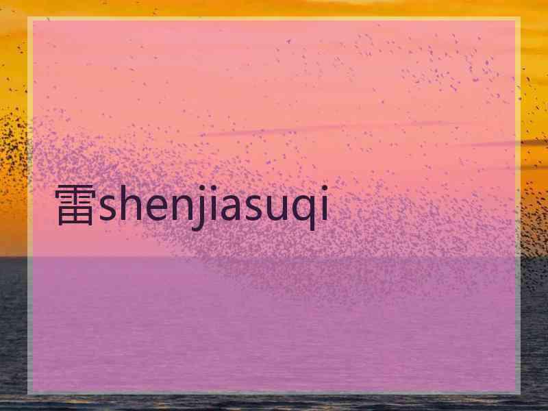 雷shenjiasuqi