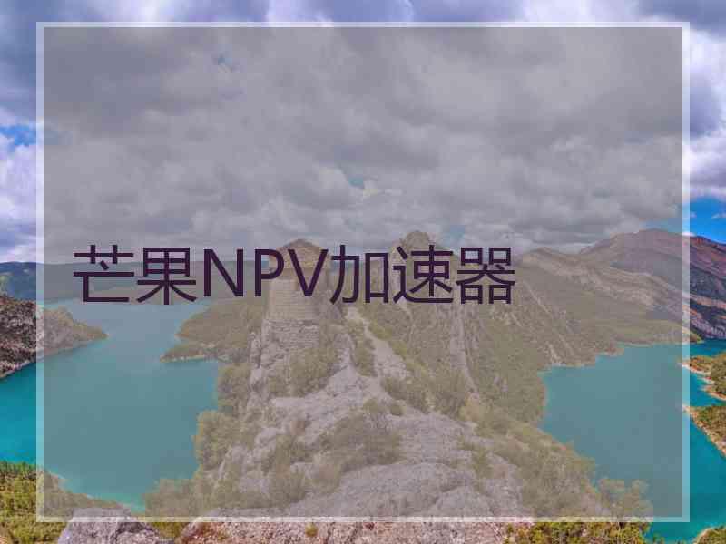 芒果NPV加速器