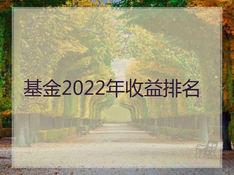 基金2022年收益排名