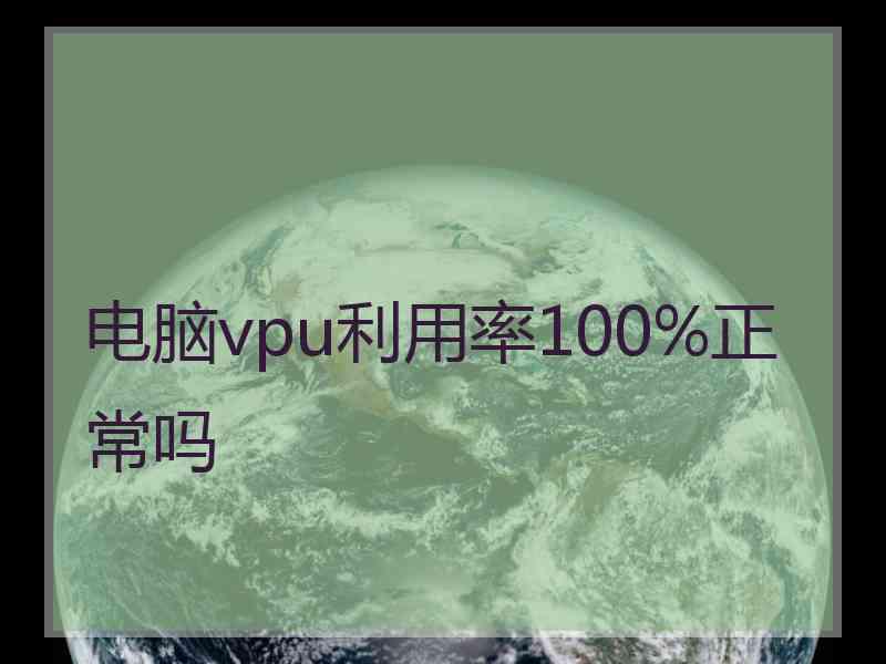 电脑vpu利用率100%正常吗