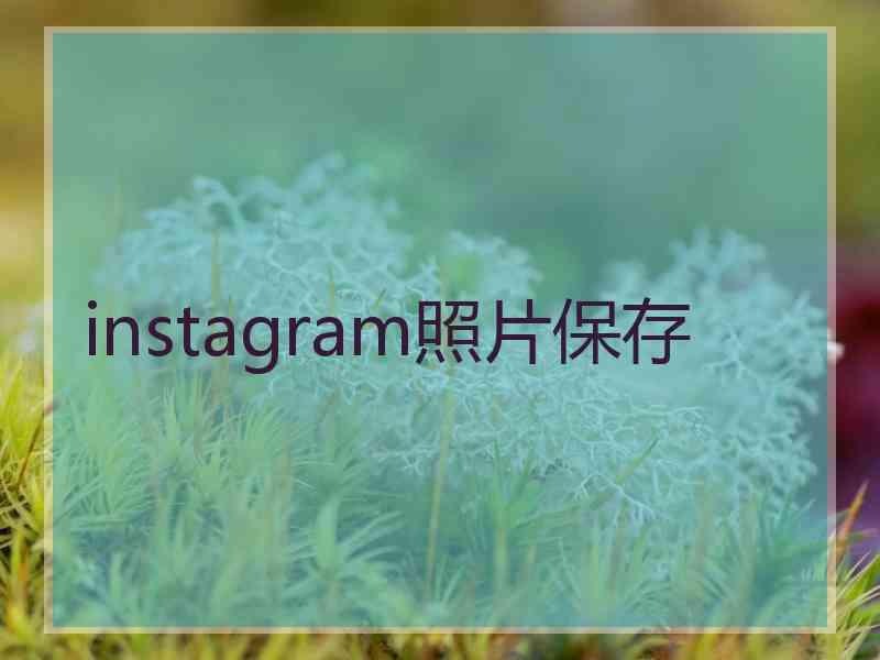 instagram照片保存