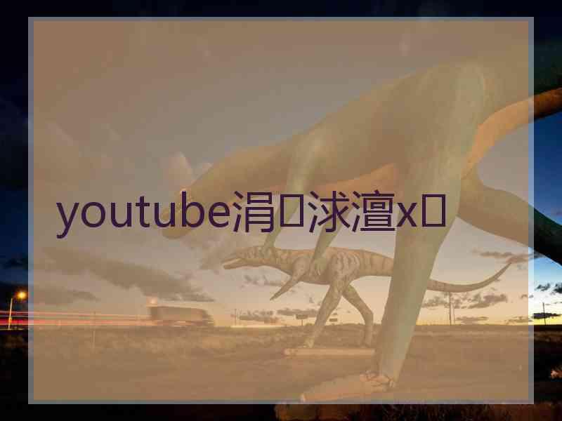 youtube涓浗澶х