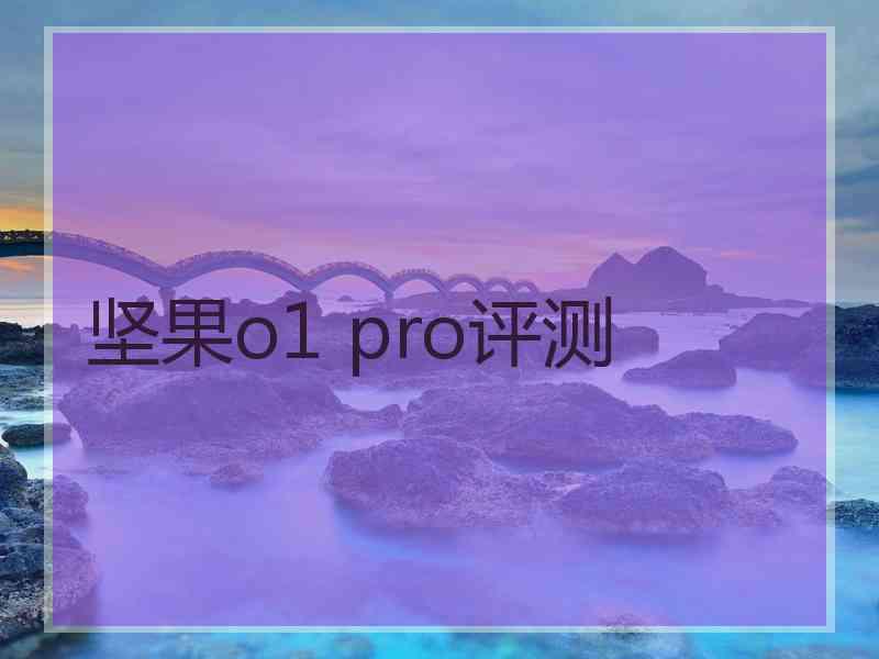 坚果o1 pro评测