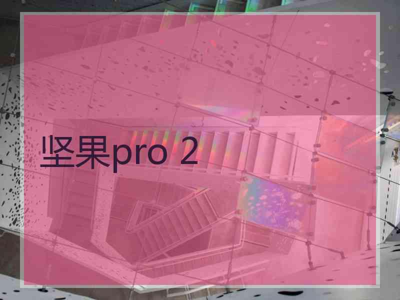 坚果pro 2