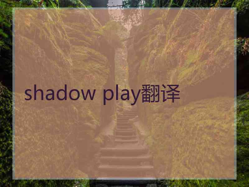 shadow play翻译