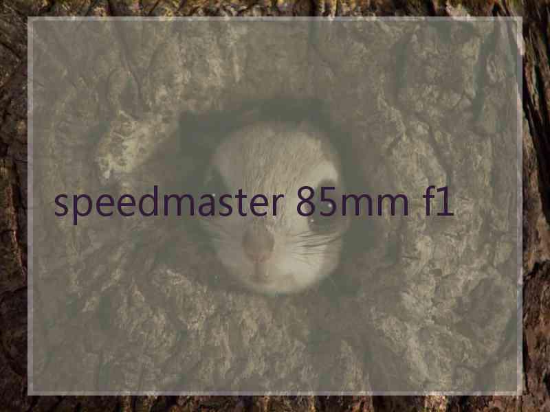 speedmaster 85mm f1