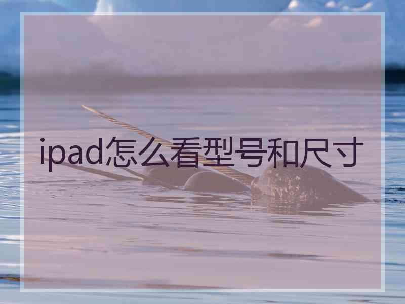 ipad怎么看型号和尺寸