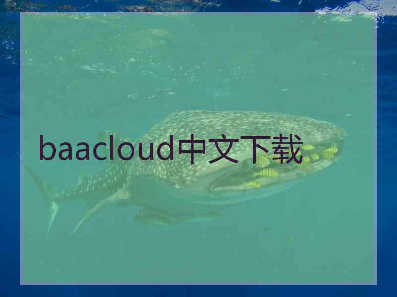 baacloud中文下载