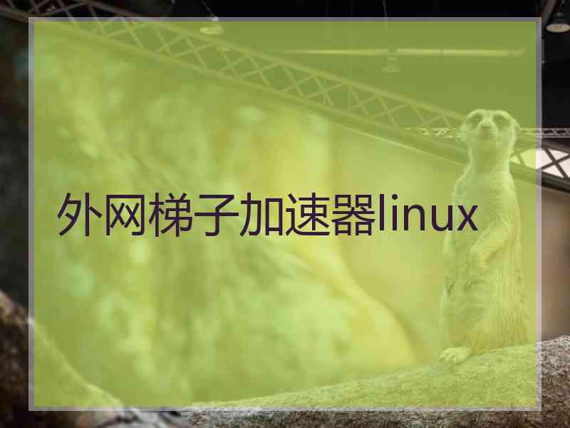 外网梯子加速器linux