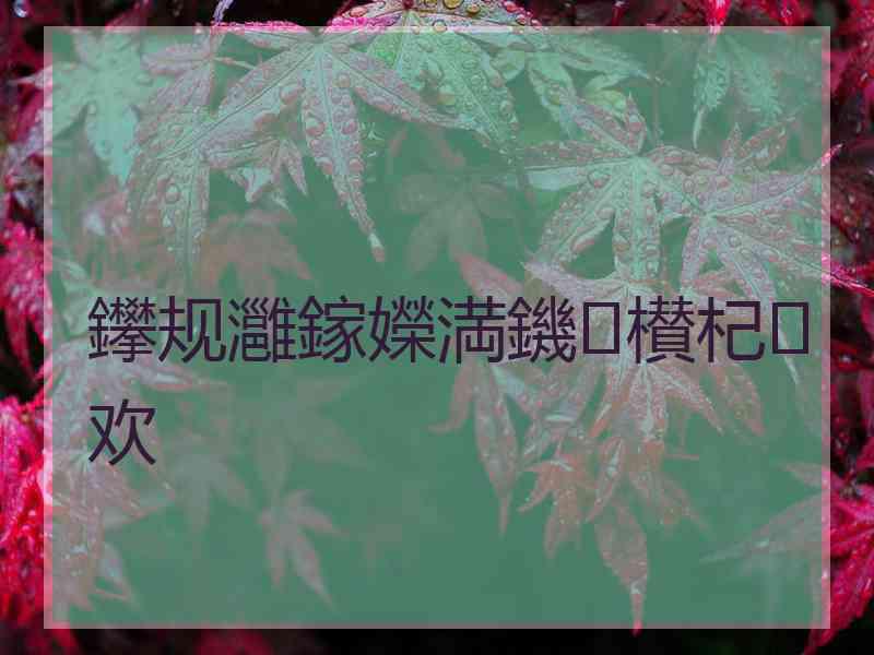 鑻规灉鎵嬫満鐖櫕杞欢