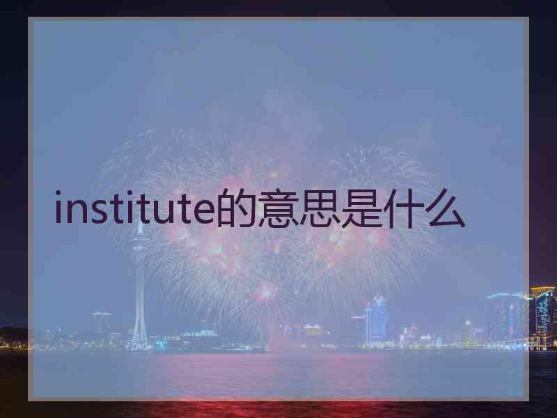 institute的意思是什么