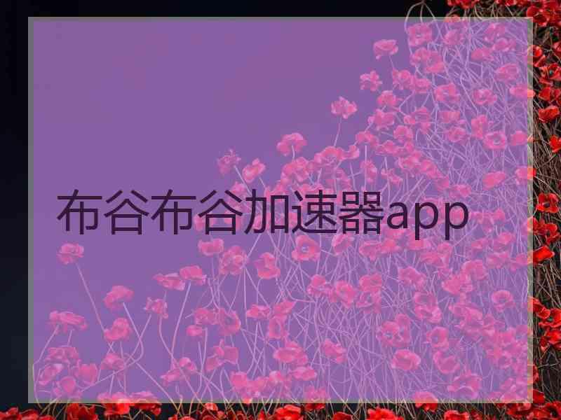 布谷布谷加速器app