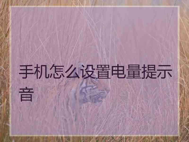 手机怎么设置电量提示音