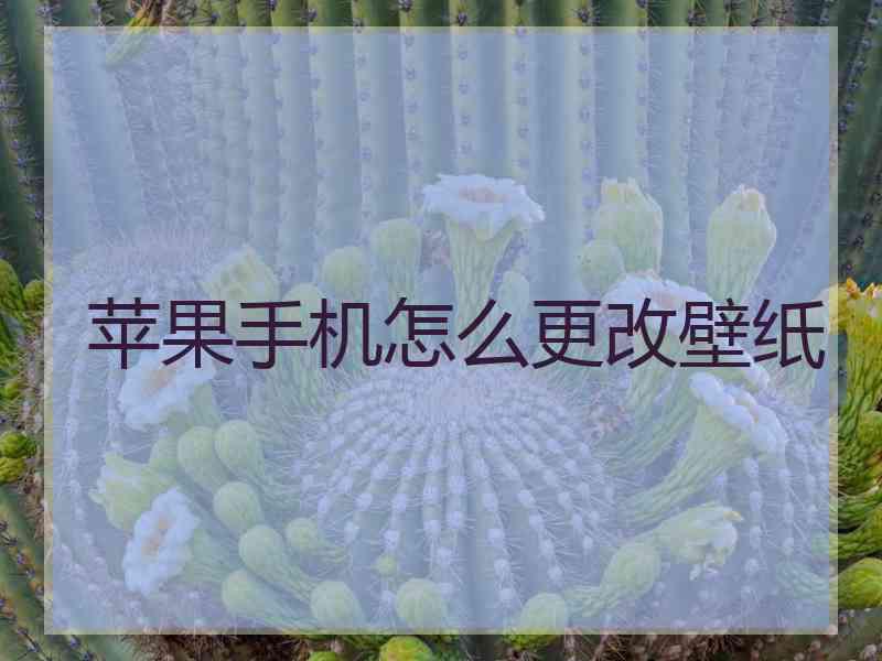 苹果手机怎么更改壁纸