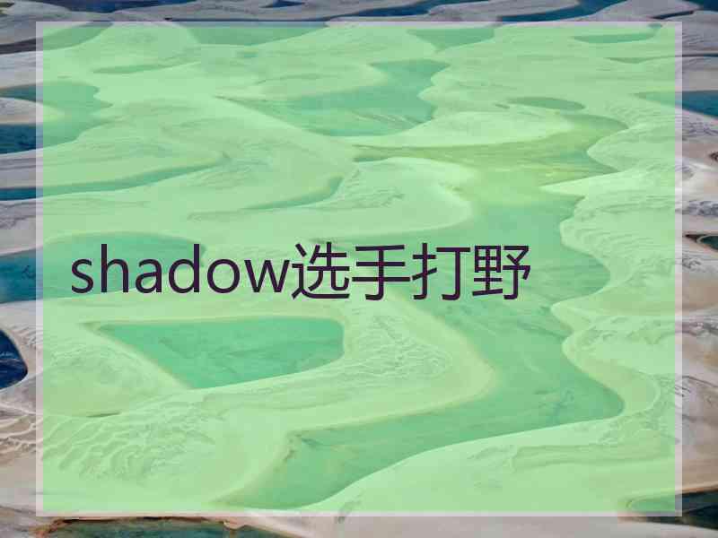 shadow选手打野