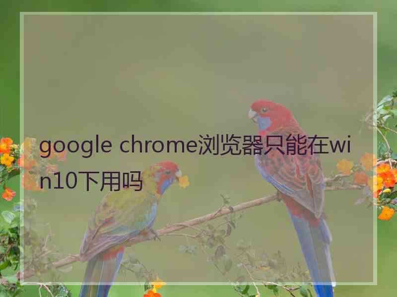 google chrome浏览器只能在win10下用吗