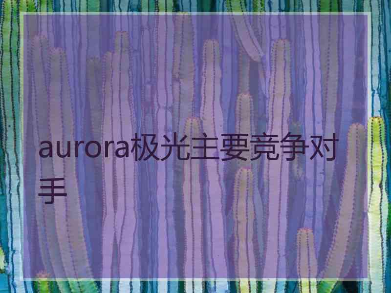 aurora极光主要竞争对手